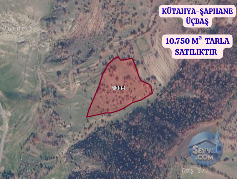 KÜTAHYA ŞAPHANE ÜÇBAŞ  KÖYÜNDE 12.750 M²  TARLA  SATILIKTIR - KÜTAHYA ŞAPHANE fotoğraf 2