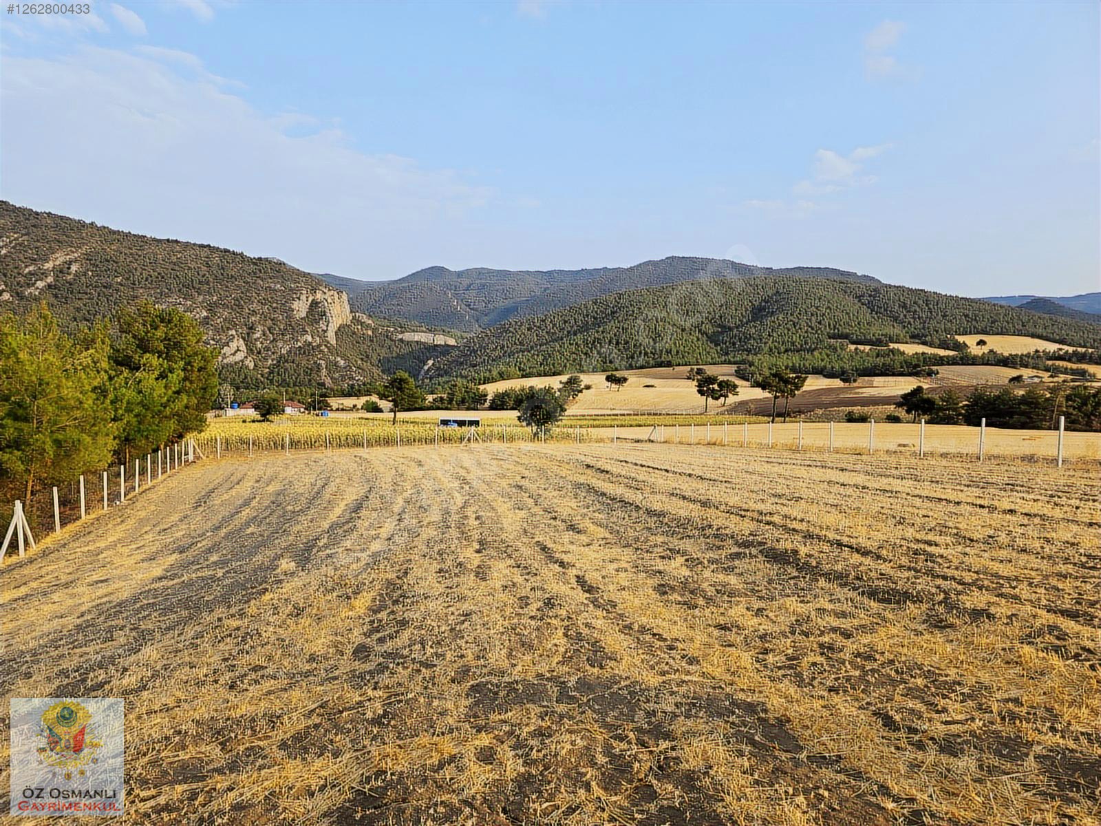 GEYVE'DE 2,300 M2 ARAZİ ÜZERİNDE EKSİKSİZ KONTEYNIR EV VE BAHÇE - SAKARYA GEYVE fotoğraf 10