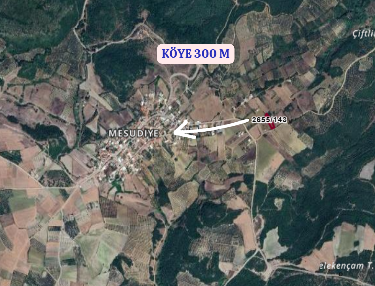 BURSA MUDANYA MESUDİYE KÖYÜNDE 1.483 M² TARLA SATILIKTIR. - BURSA MUDANYA fotoğraf 5