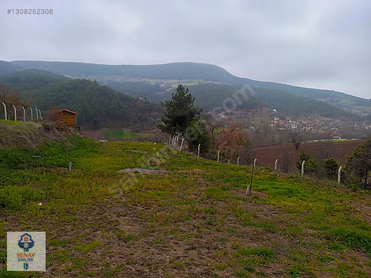 YATIRIMLIK...BİLECİK GÖLPAZARINDA 6780 M2 (ARAÇ TAKASLI) BAHÇE - BİLECİK GÖLPAZARI fotoğraf 6