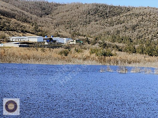 KESTEL GÖLCÜK MH SATILIK GÖL KENARI ÇİFTLİK - BURSA KESTEL fotoğraf 7
