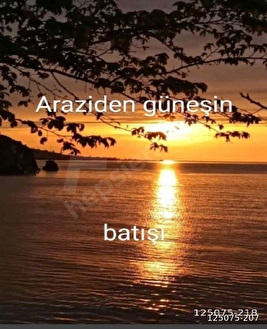 perşembe ramazan mahallesinde satılık imarlı 1515m2 fındık bahçesi. - ORDU PERŞEMBE fotoğraf 4