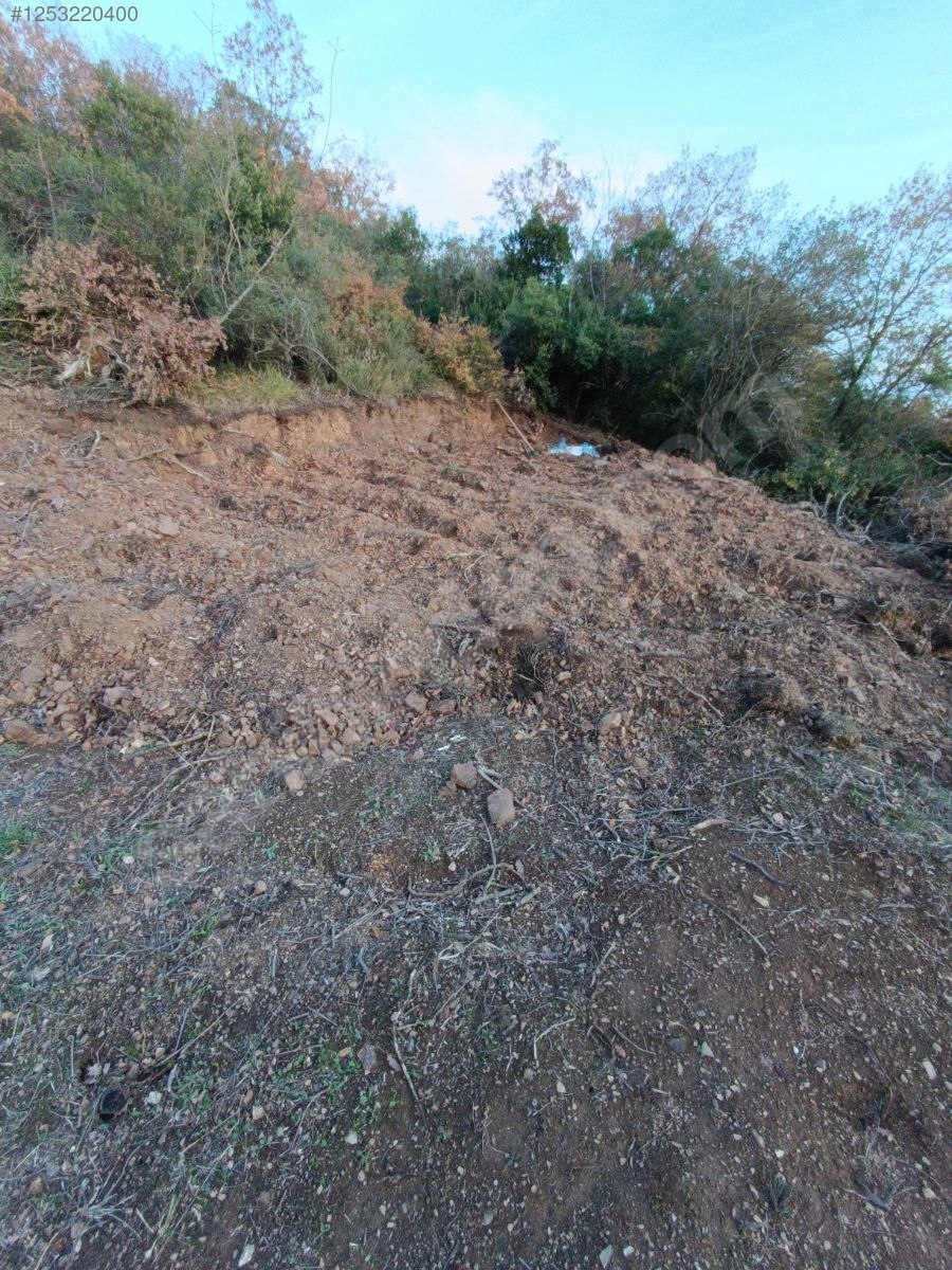 BURSA MUDANYA KAYMAKOBA KÖYÜNDE 537 M TARLA SATILIKTIR - BURSA MUDANYA fotoğraf 15