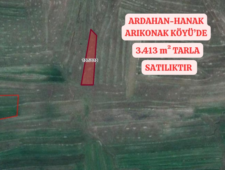 ARDAHAN HANAK ARIKONAK KÖYÜ’NDE 3.413 M² TARLA SATILIKTIR - ARDAHAN HANAK fotoğraf 2