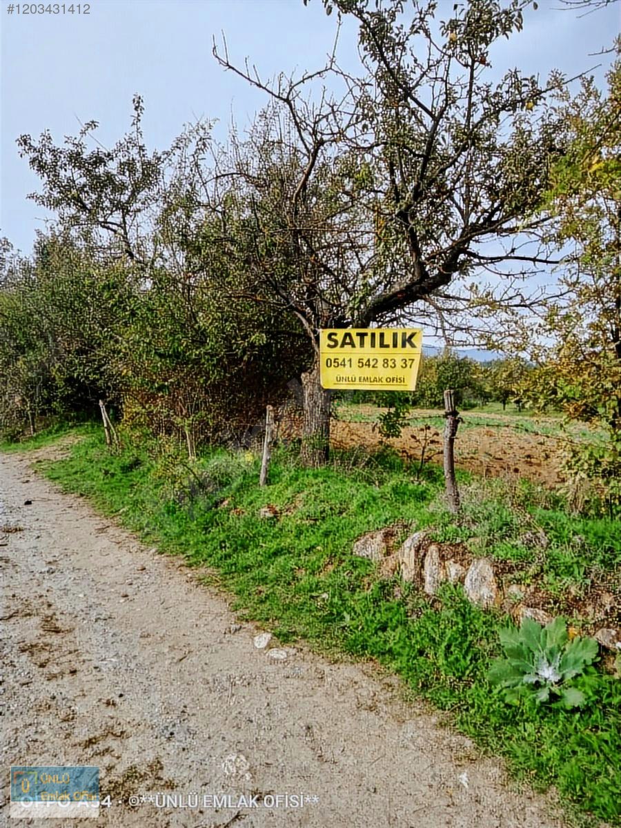 ÜNLÜ EMLAKTAN ESKİ TAŞKÖPRÜ YOLUNDA 6PARSEL YAPILABİLİR FIRSAT - KASTAMONU MERKEZ fotoğraf 17