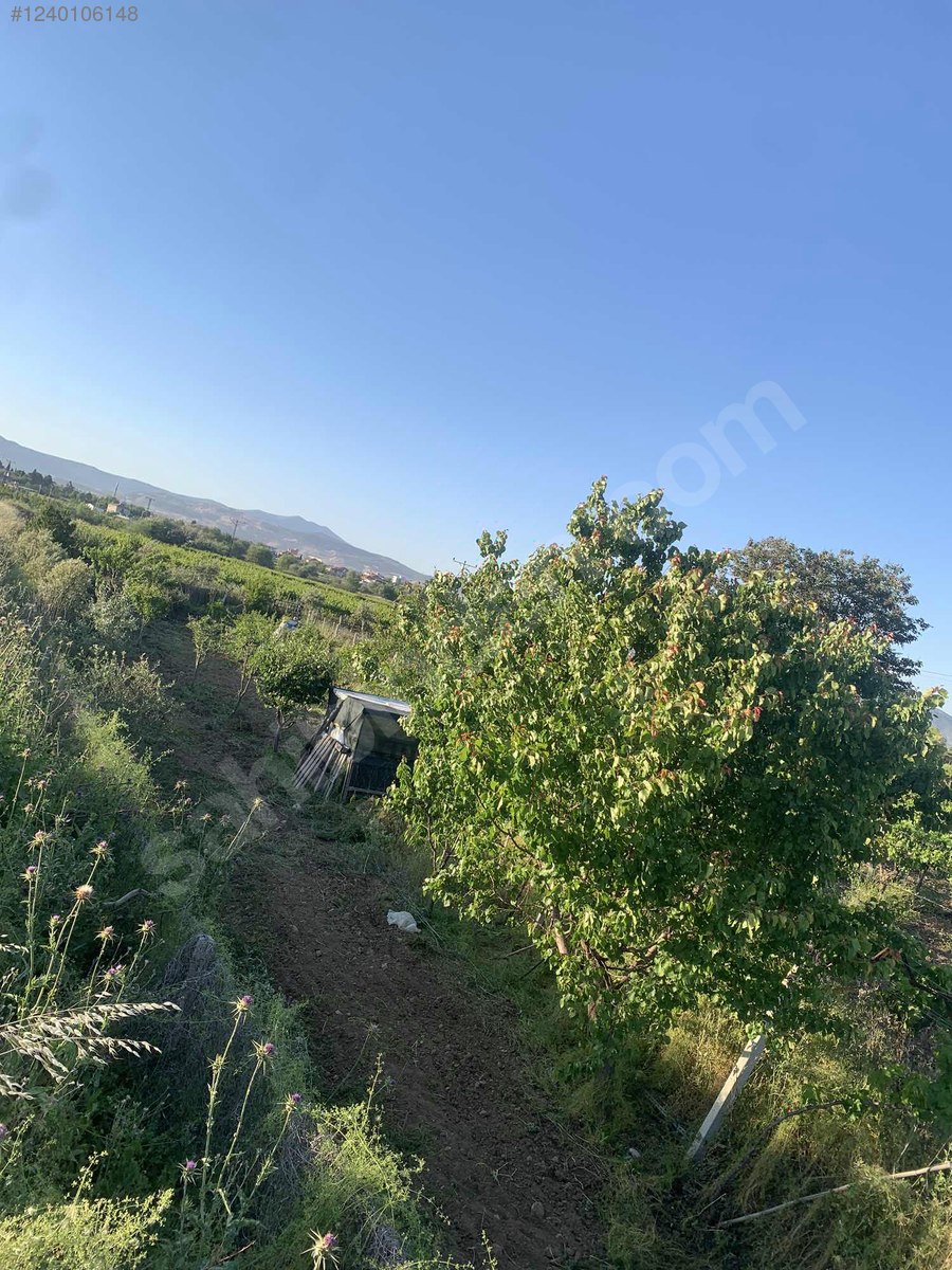 DENİZLİ HONAZ KOCABAŞ MAHALLESİNDE  688 M² TARLA  SATILIKTIR - DENİZLİ HONAZ fotoğraf 10