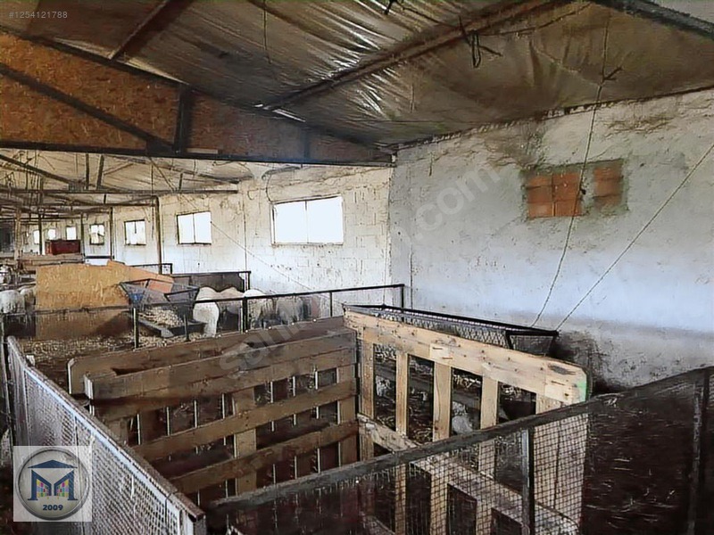 EDREMİT ÇIKRIKÇI KÖYÜNE YAKIN 3000 M2 KÖŞE SATILIK BAHÇE - BALIKESİR EDREMİT fotoğraf 4
