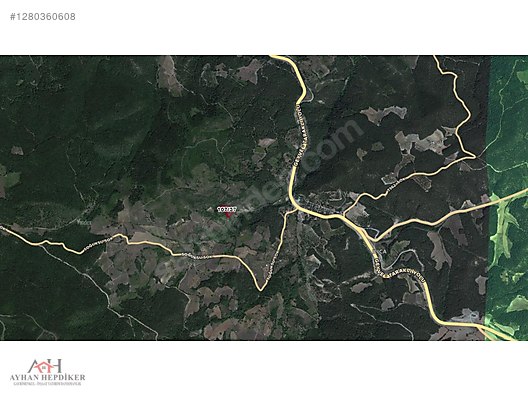 AYHAN HEPDİKER DEN GEYVE ILICA'DA 3863 M2 YOLLU ORMAN MANZARALI - SAKARYA GEYVE fotoğraf 9