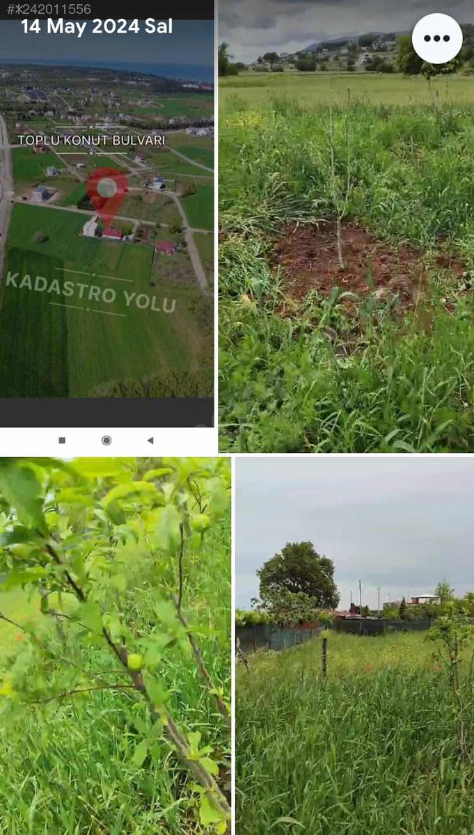 SAMSUN ATAKUM BÜYÜKOYUMCA MAH. 746 M² ARSAMIZ SATILIKTIR. - SAMSUN ATAKUM fotoğraf 6