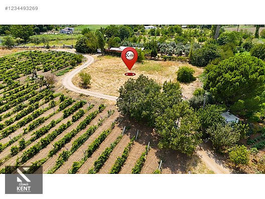Kemalpaşa Yukarıkızılca Satılık 408 m2 Bahçe - İZMİR KEMALPAŞA fotoğraf 19