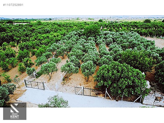 Kemalpaşa Aşağıkızılca Satılık Bahçe Tek Tapu 881 m2 - İZMİR KEMALPAŞA fotoğraf 2