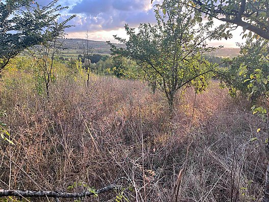 KOCAELİ KANDIRA LOKMANLI   KÖYÜNDE 727 M²  TARLA  SATILIKTIR - KOCAELİ KANDIRA fotoğraf 4