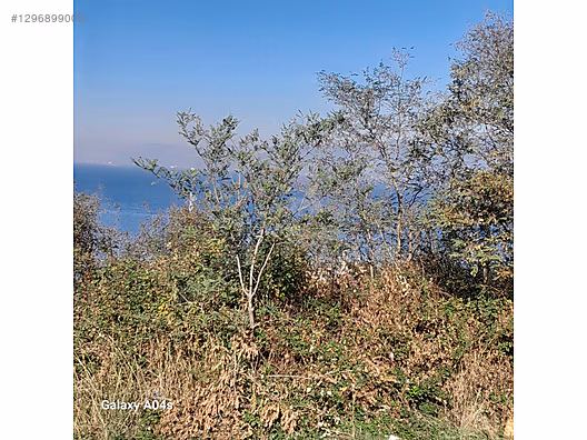 Full denız ve oman mazaralı önü kapanmaz arsa - KOCAELİ GÖLCÜK fotoğraf 12