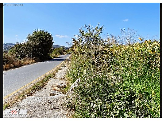 AYHAN HEPDİKER DEN SALMANLIDA ASVALT YOLA CEPHELİ 1.377m2 TARLA - SAKARYA ADAPAZARI fotoğraf 29