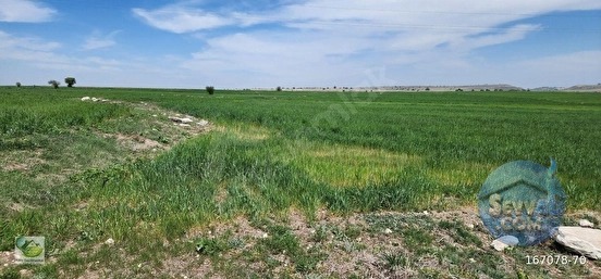 🚨 KÜTAHYA MERKEZ'DE 8.100 M² ÇİFTLİK VE PROJE YAPIMINA UYGUN HARİKA ARAZİ 🚨 - KÜTAHYA MERKEZ fotoğraf 11