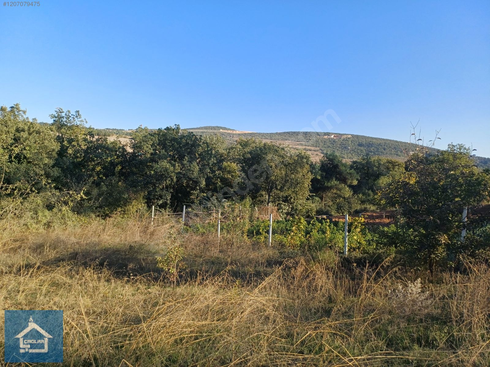 ÇAĞLAR'DAN TOPRAKDERE DE 823m2 MÜSTAKİL TARLA YOL+SU VAR - BURSA YENİŞEHİR fotoğraf 39