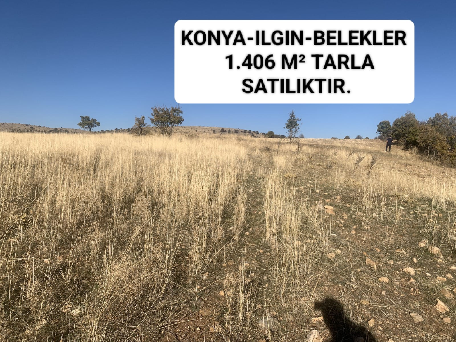 İlan Resmi