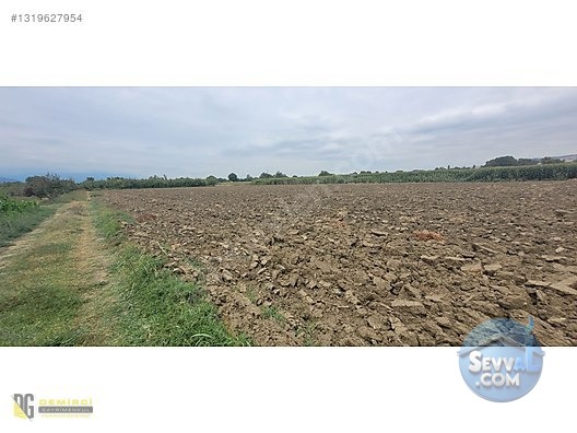 Ali Bey Köy'de Satılık Tarla 7884 M², Sulama Hatlı, Yola Yakın - BURSA İNEGÖL fotoğraf 4