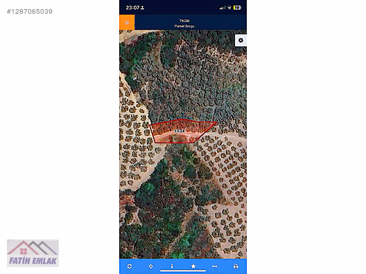Fatih'ten muratoba da 607m2 yolu olan zeytinlik - BURSA GEMLİK fotoğraf 5