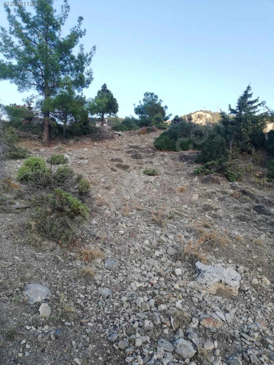 Antalya / Kumluca / Kuzca Mahallesinde 513 m² SATILIK ARSA  - ANTALYA KUMLUCA fotoğraf 2