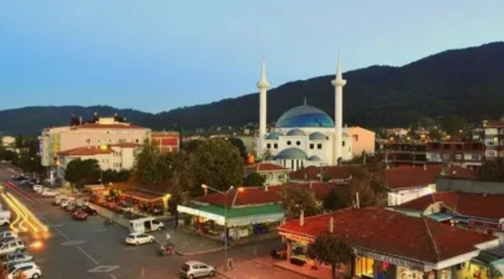 ÇANAKKALE YENİCE BAYATLAR KÖYÜNDE 338 M² ARSA SATILIKTIR. - ÇANAKKALE YENİCE fotoğraf 9