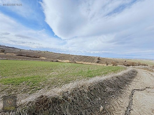 SAMSUN HAVZA KOCAPINAR'DA 4.754 M2 UYGUN ARSA - SAMSUN HAVZA fotoğraf 9