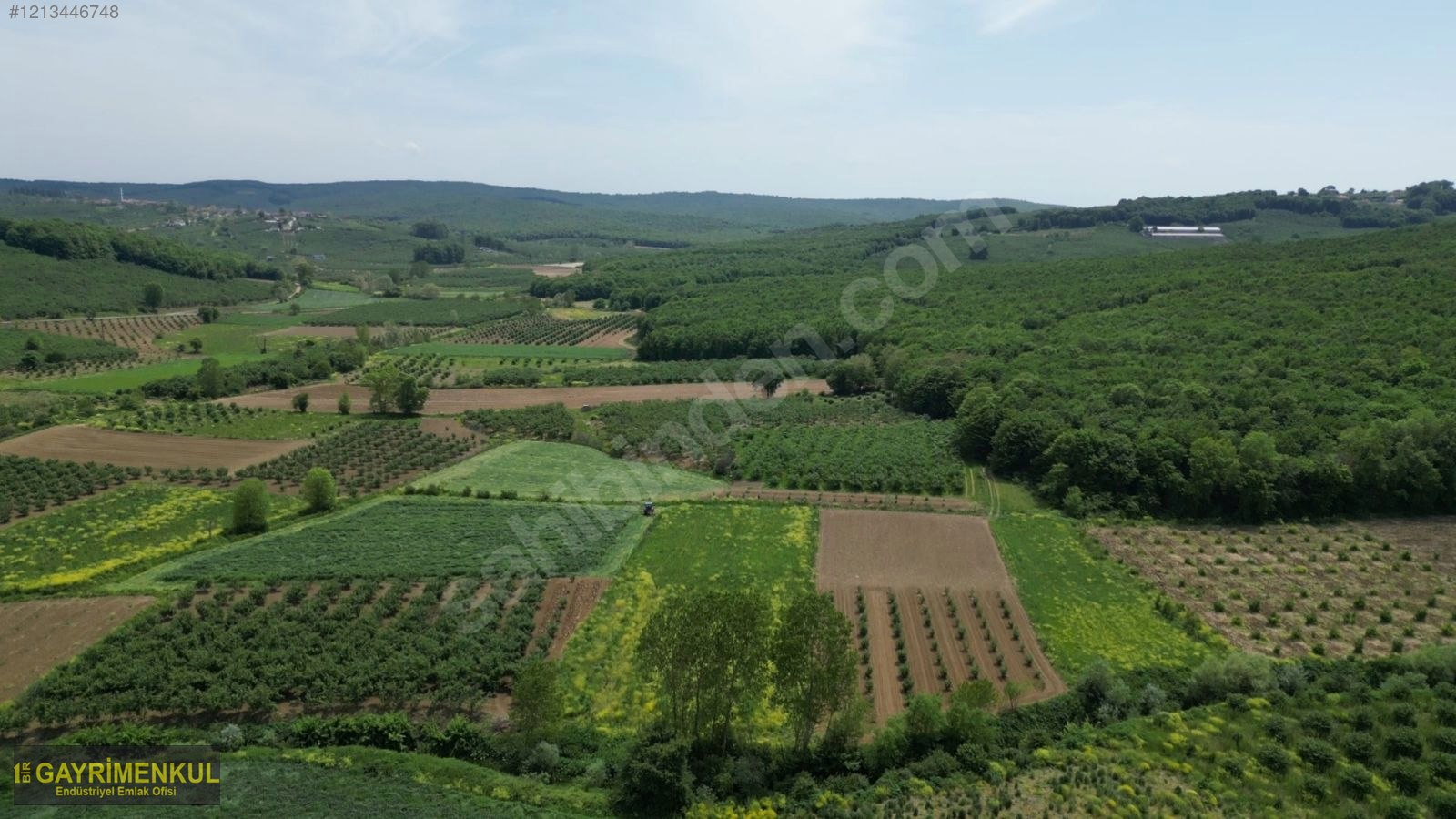 YATIRIM FIRSATI 3.962 M² TARLA FERİZLİ SARIAHMETLER MAH. - SAKARYA FERİZLİ fotoğraf 29