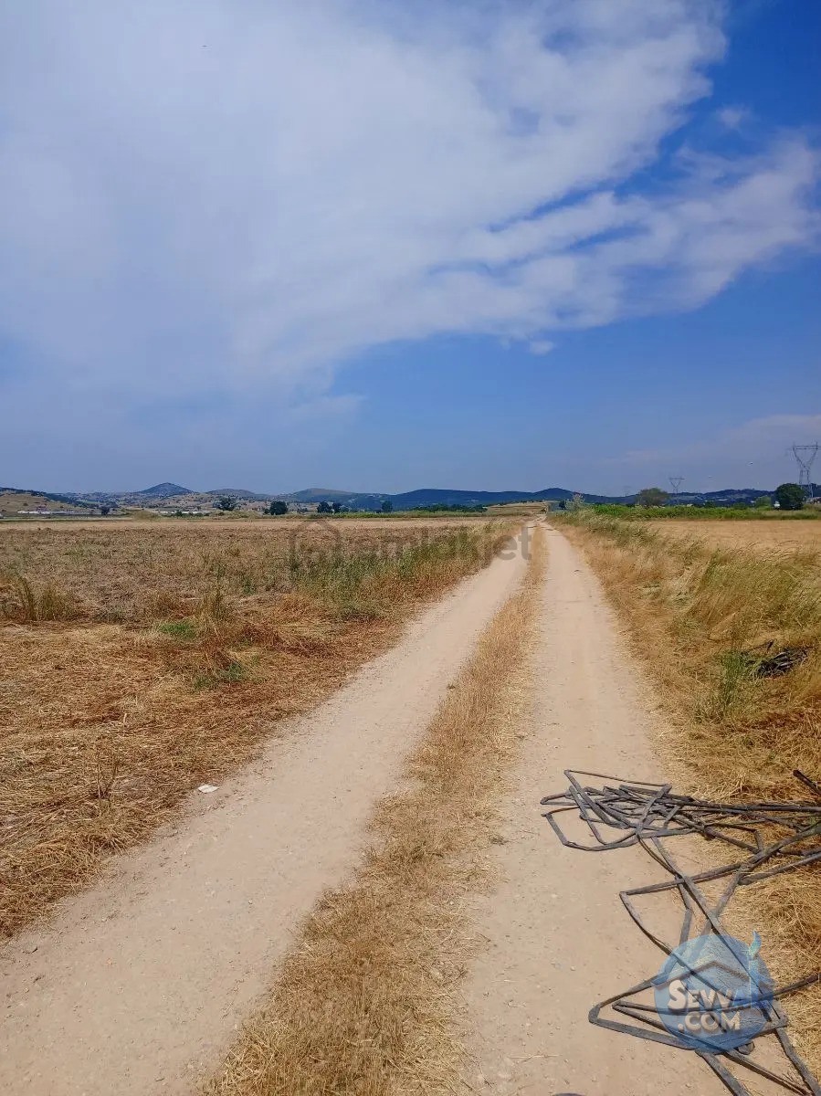 Gökçeyazı Da Kadastro Yolu Mevcut Tarla - BALIKESİR İVRİNDİ fotoğraf 7