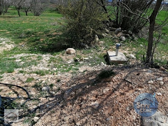Çevreyoluna Çok Yakın 5 Dönüm Bahçe, 2 tarafı da yol - ANTALYA KORKUTELİ fotoğraf 4