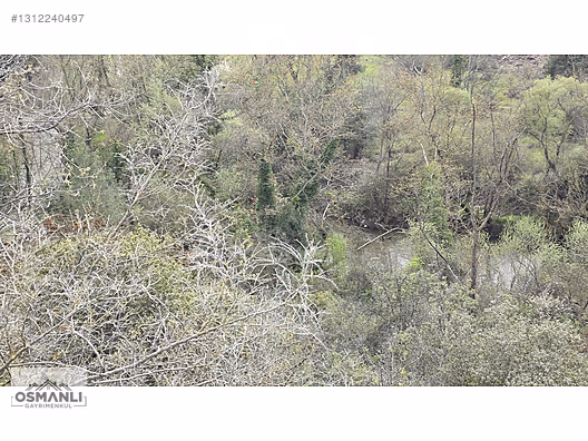 GÖKSU NEHRİ KENARINDA 2.600 M2 RESMİ YOLLU DÜZ ARAZİ- OSMANLIDAN - BİLECİK OSMANELİ fotoğraf 7