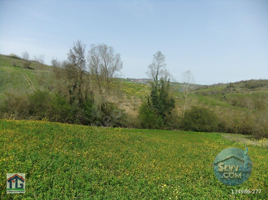 KOCAELİ/KANDIRA/AHMETHACILAR KÖYÜNDE SATILIK 2 PARSEL TARLA. - KOCAELİ KANDIRA fotoğraf 5