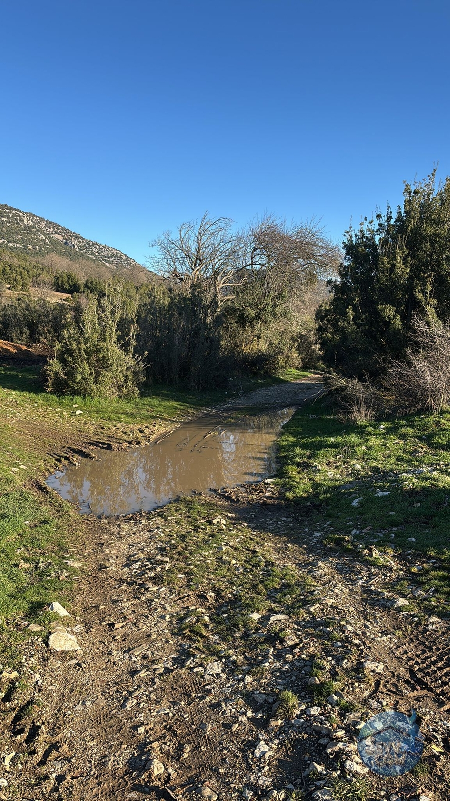 BURDUR-AĞLASUN YAZIR KÖYÜNDE YATRIMLIK FIRSAT TARLA - Burdur Ağlasun fotoğraf 20