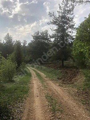 BURSA KELEŞ  BELENÖREN'DE 825 M²  TARLA  SATILIKTIR. - BURSA KELES fotoğraf 10