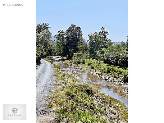 KÖKENLİ KÖYÜNDE 4 DÖNÜM SATILIK FINDIK BAHÇESİ - ORDU ALTINORDU fotoğraf 5