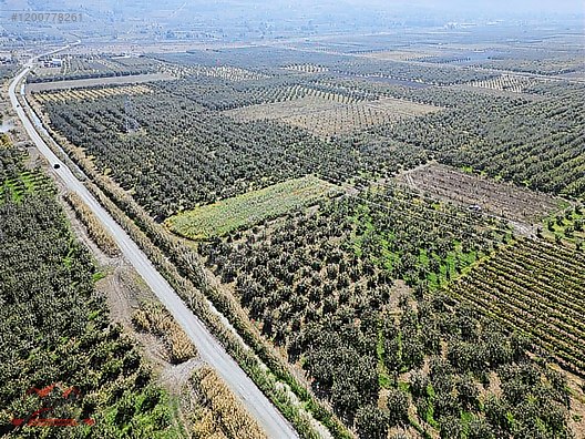 SAKARYA GEYVE UMURBEY MAH. 2444,26 M2 SATILIK TARLA - SAKARYA GEYVE fotoğraf 17