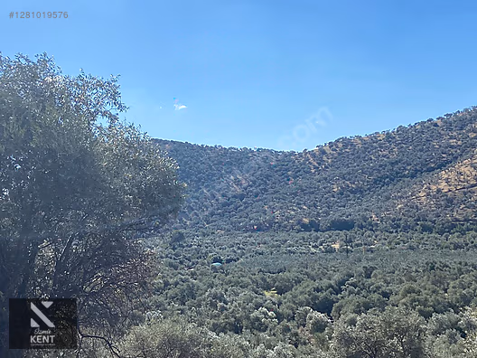 Bayındır Yusuflu Satılık 6050 m2 Zeytinlik Tek Tapu - İZMİR BAYINDIR fotoğraf 49