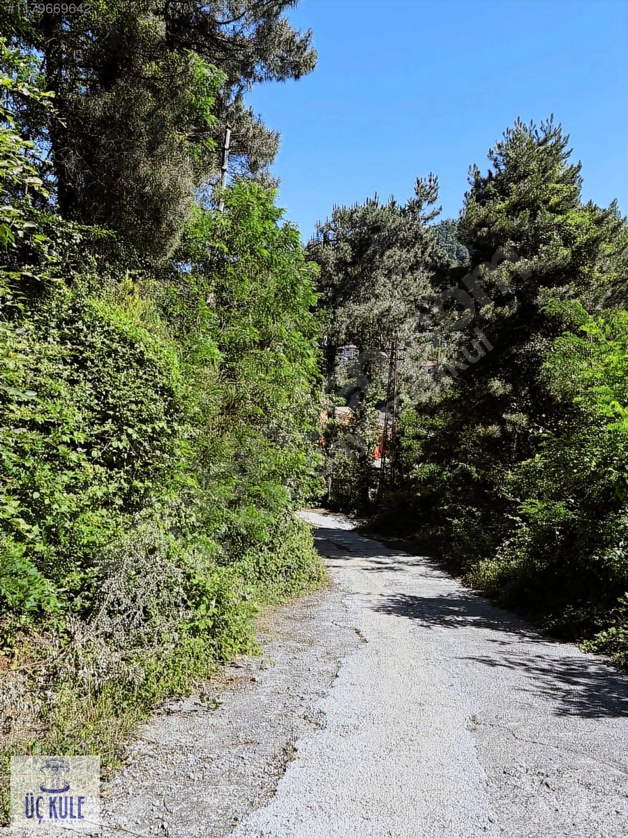 YATIRIMLIK 5.274 METREKARE İMARLI ARSA TEK TAPU - ZONGULDAK KOZLU fotoğraf 6