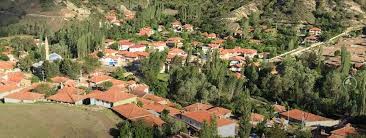 ESKİŞEHİR ORMANA NAZIR MANZARALI 7382 M2 HALI GİBİ TEK TAPU ARSA - ESKİŞEHİR SEYİTGAZİ fotoğraf 3