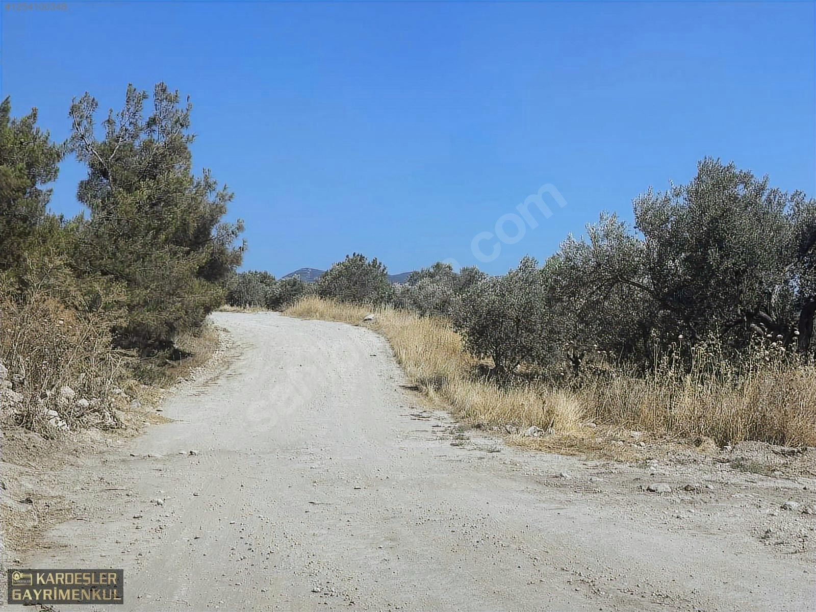 AKHİSAR KARASONYADA MANZARALI ZEYTİNLİK ARAÇ TAKASINA UYGUN - MANİSA AKHİSAR fotoğraf 8