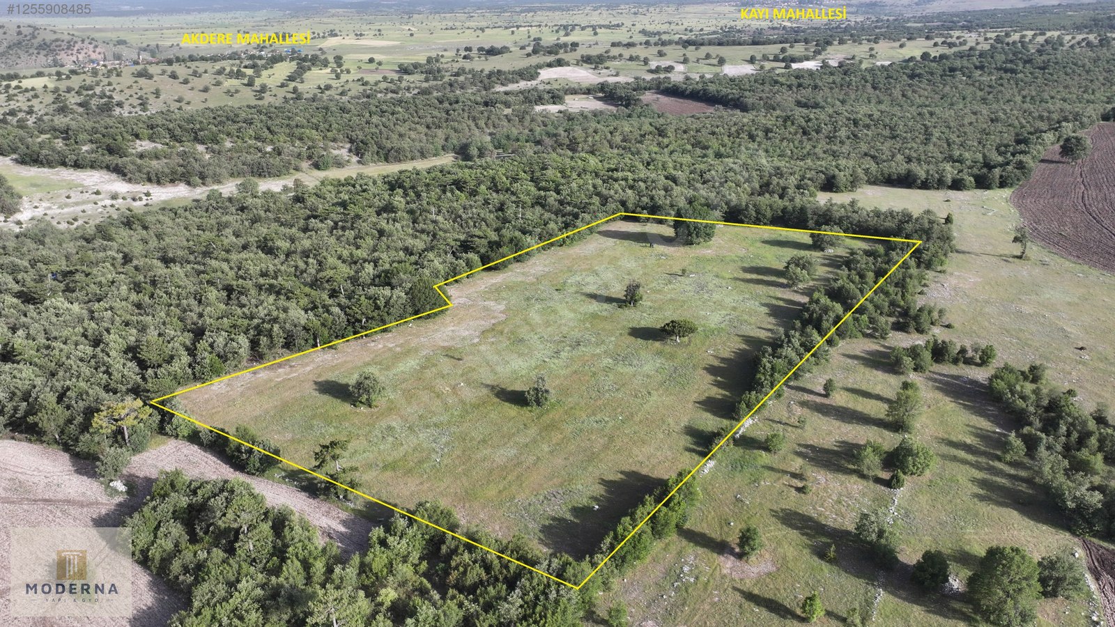 ESKİŞEHİR 20650 M2 TEK TAPU ORMANA CEPHE HALI GİBİ EMSALSİZ ARSA - ESKİŞEHİR HAN fotoğraf 5