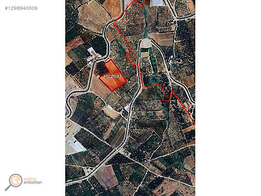 ONLİNE EMLAK'TAN MERSİN TOROSLAR ARPACSAKARLAR LOJİSTİK SAHA - MERSİN TOROSLAR fotoğraf 2