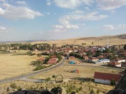 ESKİŞEHİR ORMANA NAZIR MANZARALI 7382 M2 HALI GİBİ TEK TAPU ARSA - ESKİŞEHİR SEYİTGAZİ fotoğraf 6