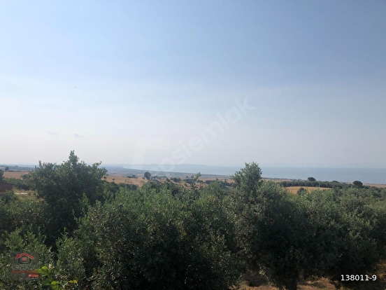 Uçar Emlak'tan Balıkesir/Gönen'de Deniz Manzaralı Köyünde 1.122 m2'lik Bahçeli M - BALIKESİR GÖNEN fotoğraf 19