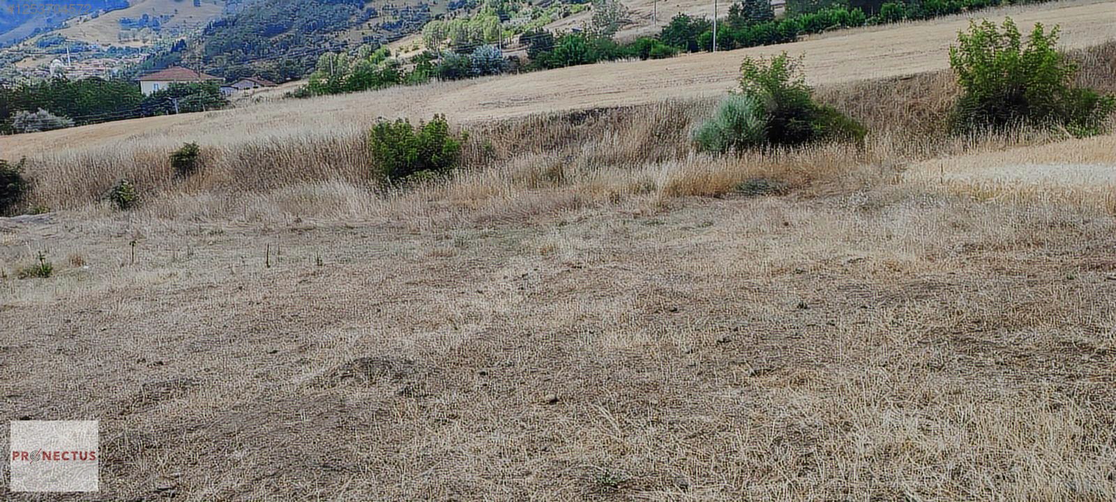 KIZDERBENT MAH. 588 M2 KONUT İMARLI ARSA - KOCAELİ KARAMÜRSEL fotoğraf 3