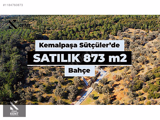 Kemalpaşa Sütçüler Satılık 873 m2 Zeytinlik - İZMİR KEMALPAŞA fotoğraf 26