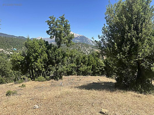 Kaçırılmayacak Fırsat  Antalya  Akseki Kepezbeleni Mh. 1.270 m² SATILIK ARSA  - ANTALYA AKSEKİ fotoğraf 2
