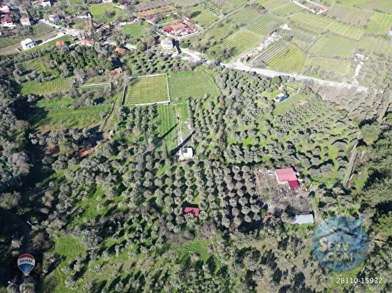 Kuşadası Kirazlıda fırsat bahçe - AYDIN KUŞADASI fotoğraf 16