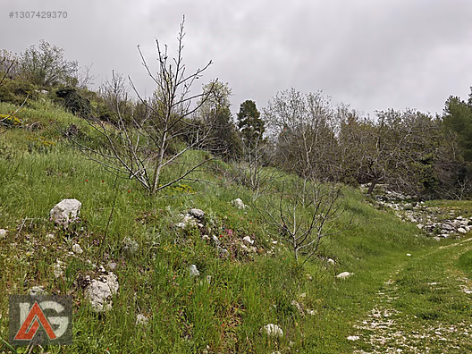KARACAÖREN 877m2 yol cepheli - ANTALYA KUMLUCA fotoğraf 9