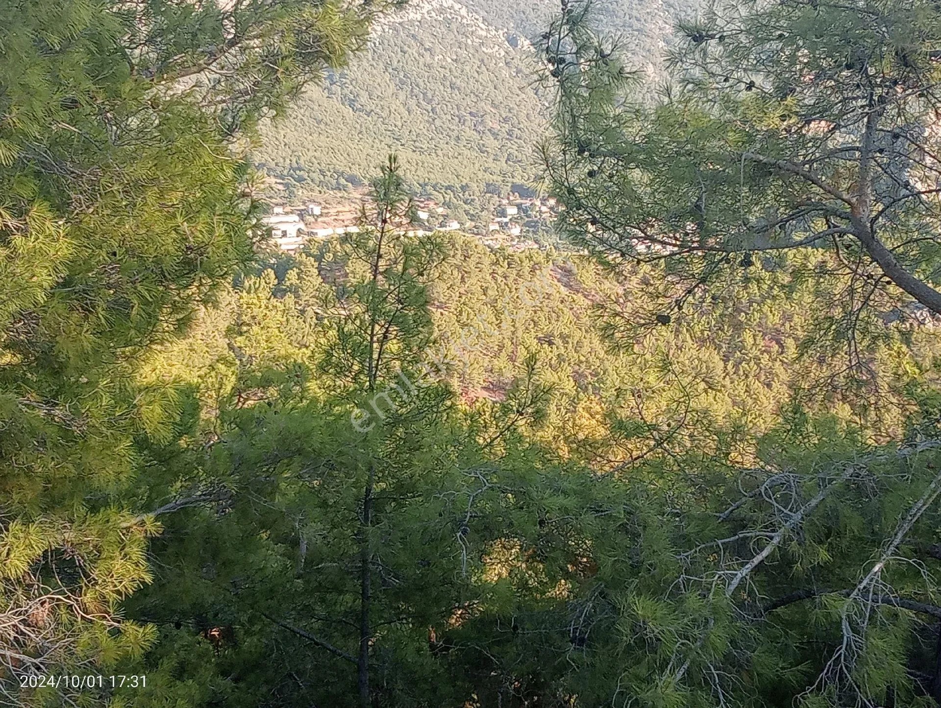 Antalya Kumluca Mavikent'te Satılık Tarla İnceoğlu Emlak - ANTALYA KUMLUCA fotoğraf 11