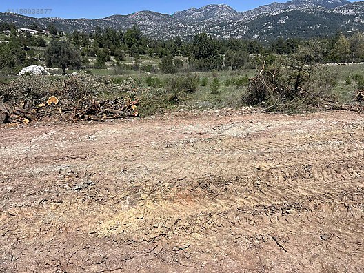 Antalya / Akseki / Erenyaka Mahallesinde  1.551 m² SATILIK ARSA  - ANTALYA AKSEKİ fotoğraf 12